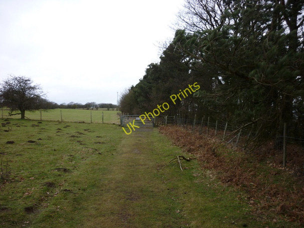 Photo 6"x4" A footpath above Rowbrow Wood, near Scarborough Scarborough\/TA0388 c2011