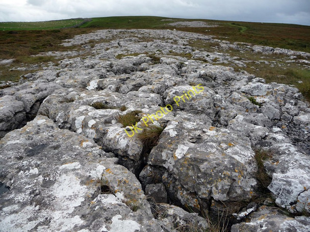 Photo 6"x4" Limestone pavement on the Great Orme Llandudno c2010