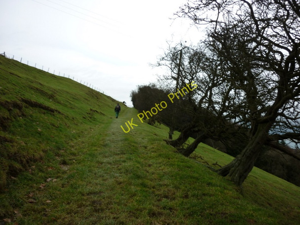Photo 6"x4" Walking towards Hawthorn Wood near Hackness Suffield\/SE9890 c2011