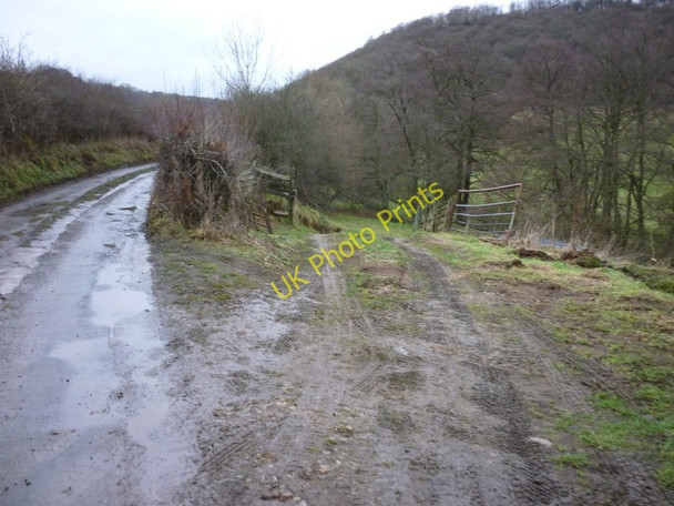 Photo 6"x4" A track leaves the road to Hard Dale near Hackness Hackness\/SE9790 c2011
