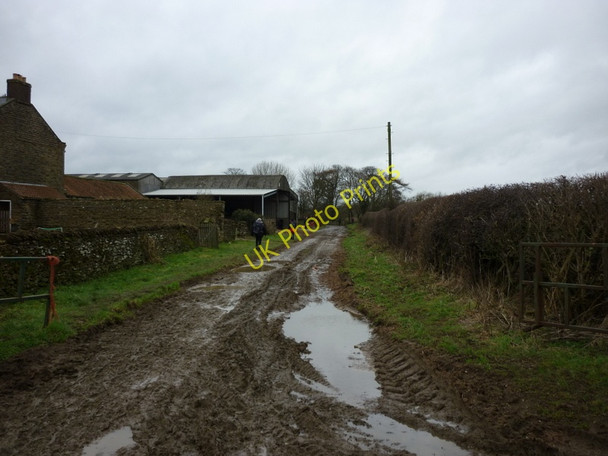 Photo 6"x4" Walking into Broxa near Langdale End Silpho c2011
