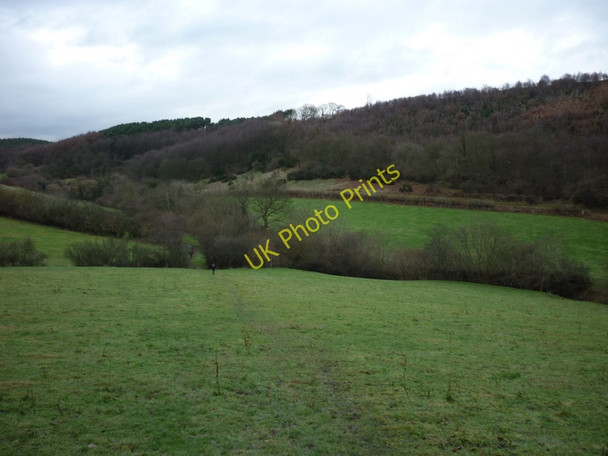 Photo 6"x4" A footpath at Hard Dale towards Broxa Forest Silpho c2011