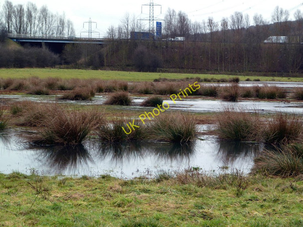 Photo 6"x4" Rother Valley wetland area Guilthwaite c2011