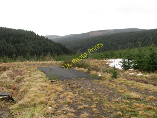 Photo 6"x4" The forested Common of Dunning Back Burn\/NO0208 c2011 P1