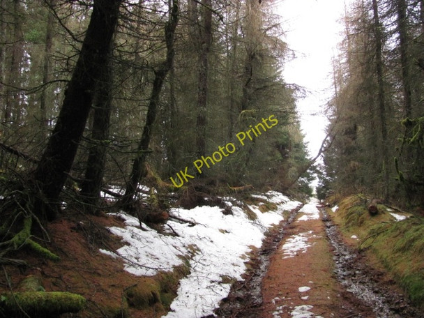 Photo 6"x4" Road to Coulshill Corb Br c2011