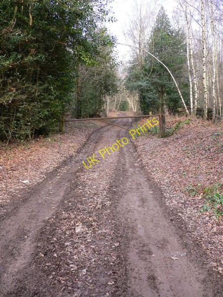 Photo 6"x4" Track north from the parking area on Brinksole Heath Byworth c2011