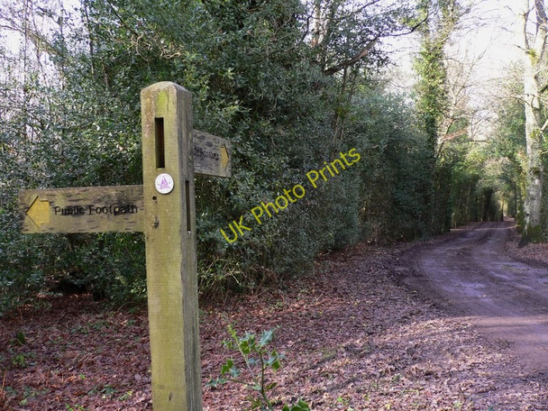 Photo 6"x4" The Serpent Trail on Brinksole Heath Byworth c2011