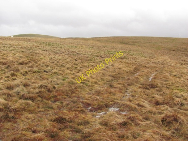 Photo 6"x4" Central Perk John's Hill\/NO0008 c2011