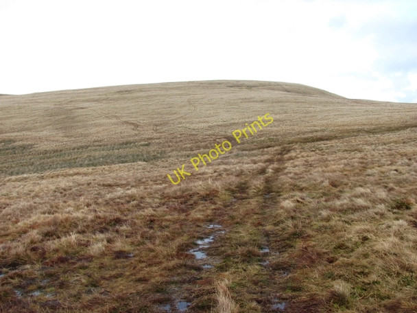 Photo 6"x4" Corb Law Glendevon\/NN9904 c2011