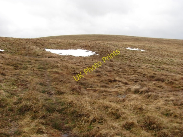 Photo 6"x4" Little Law Glendevon\/NN9904 c2011