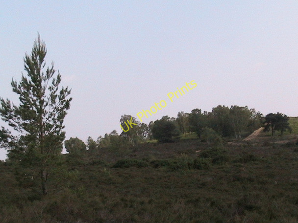 Photo 6"x4" Yagden Hill Tilford Common c2007