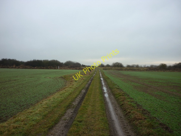 Photo 6"x4" A farm track heading south from Haverfield House Farm Patrington c2011