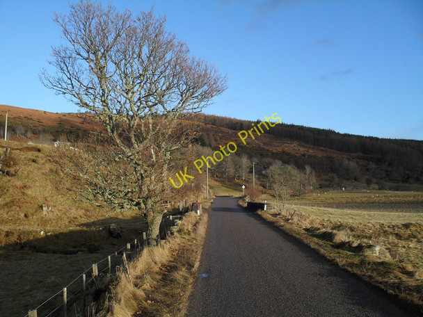 Photo 6"x4" A837 by Linsidemore Linsidemore c2011