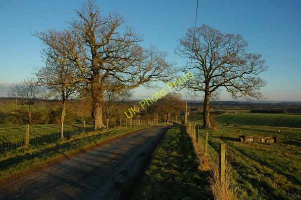 Photo 6"x4" Road to Pauntley Brand Green\/SO7428 c2011