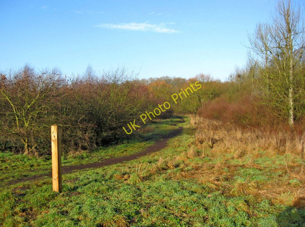 Photo 6"x4" Path through a wooded area in Springfield Park Kidderminster c2011