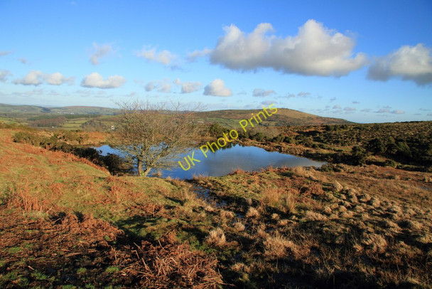 Photo 6"x4" Header pond on Coombe Down Lower Hookner c2011