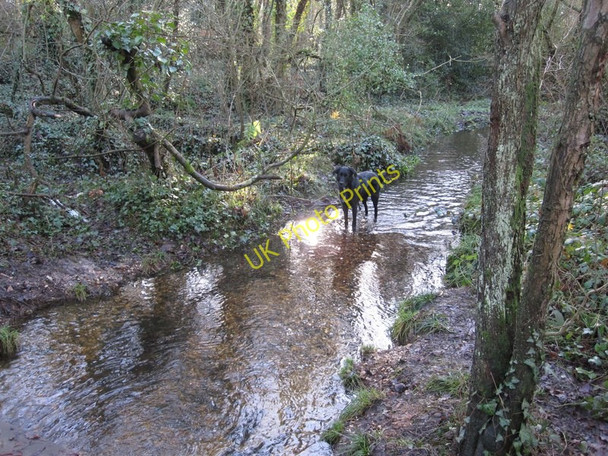 Photo 6"x4" Stream running through Home Covert woods Totton c2011