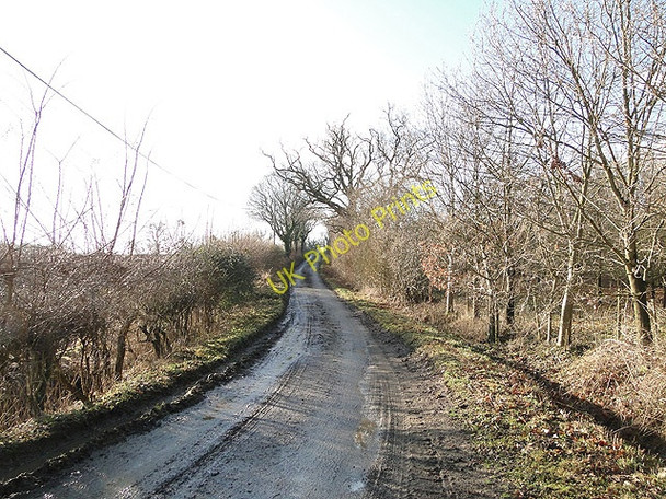 Photo 6"x4" New Road, Sibton Hemp Green c2011