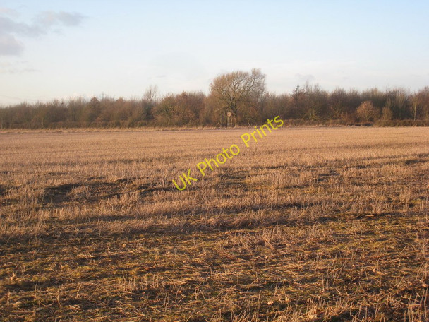 Photo 6"x4" View across the stubble Coddington\/SK8354 c2011