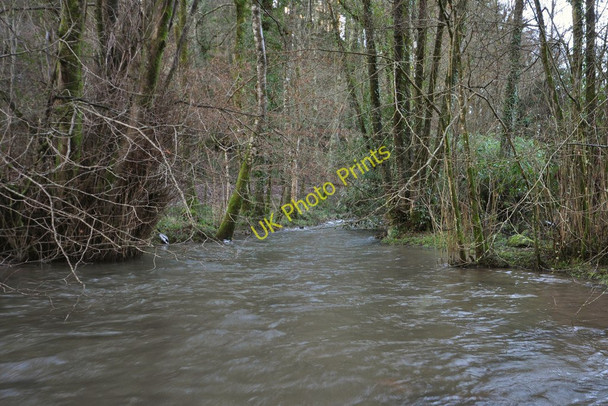 Photo 6"x4" A view upstream on Bradiford Water near Muddiford Muddiford c2011