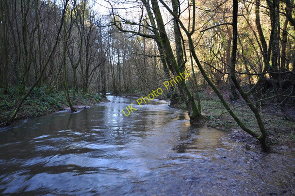 Photo 6"x4" The view upstream from a weir on Bradiford Water near Plaistow Mill Muddiford c2011