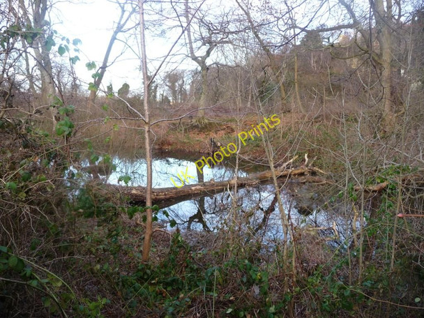 Photo 6"x4" Pond amongst trees Blackhall\/NT2174 c2011