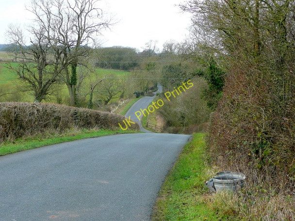 Photo 6"x4" Awre to Newnham road Awre c2009