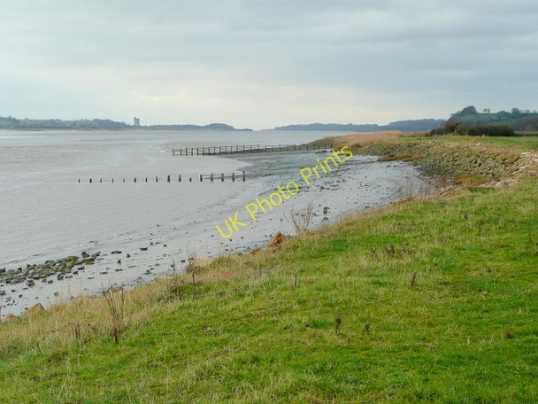 Photo 6"x4" Severn bank at Awre Awre c2009