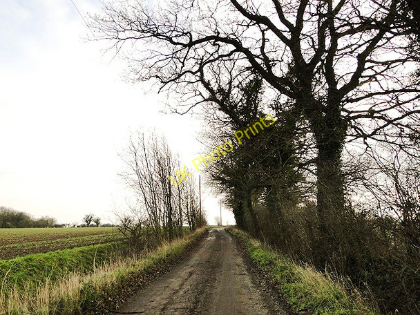 Photo 6"x4" Farm track back to the road from Magna Farm, Linstead Cratfield c2011