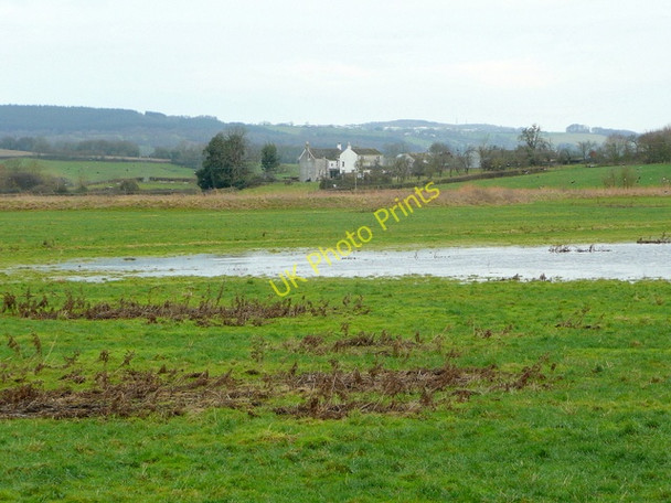 Photo 6"x4" View to Ripple House Awre c2009