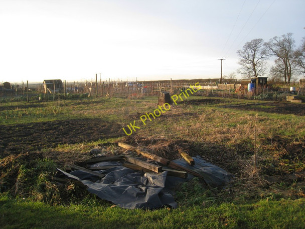 Photo 6"x4" Allotments at Messingham Messingham c2011
