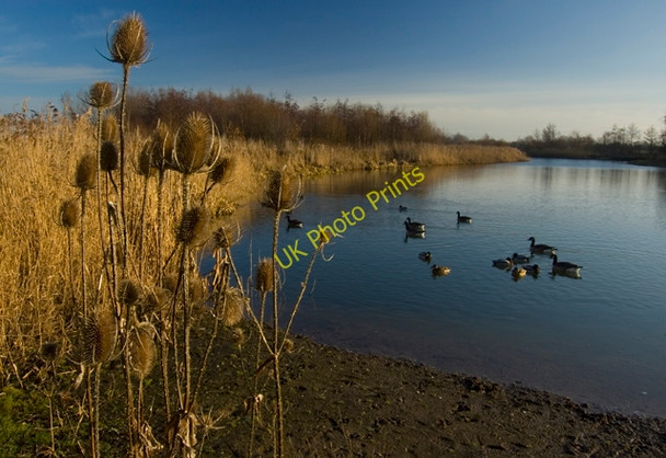 Photo 6"x4" Waterfowl at Waters' Edge, Barton Barton-Upon-Humber c2011