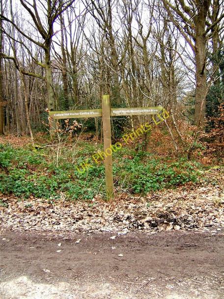 Photo 6"x4" Waymark in Wyre Forest Car Park Buttonoak c2008