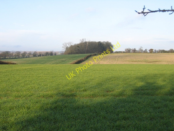 Photo 6"x4" Jubilee Wood and farmland, west of Upton, Peterborough Upton\/TF1000 c2005