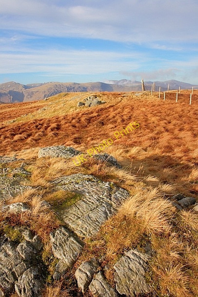 Photo 6"x4" Fence Corner, Long Moss Stonethwaite\/NY2613 c2011