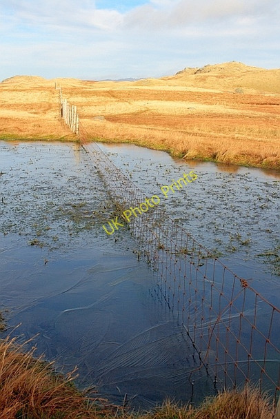 Photo 6"x4" Fence and Bog, Below Standing Crags Stonethwaite\/NY2613 c2011