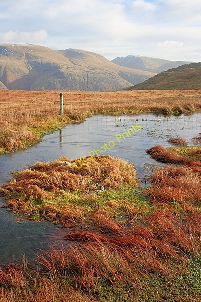 Photo 6"x4" Fence and Bog, Below Standing Crags Stonethwaite\/NY2613 c2011 P1
