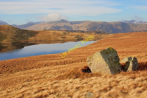 Photo 6"x4" Boulder, Blea Tarn Watendlath c2011