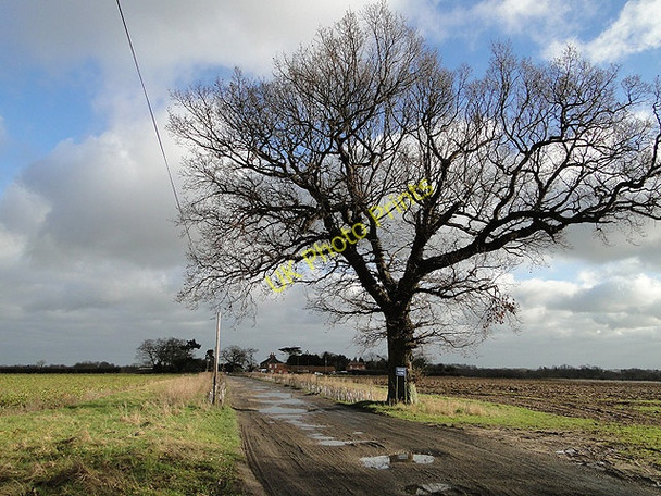 Photo 6"x4" Entrance to Wood Farm, Beighton Moulton St Mary c2011