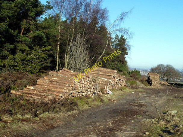 Photo 6"x4" Log piles on Houndkirk Road Ringinglow c2011