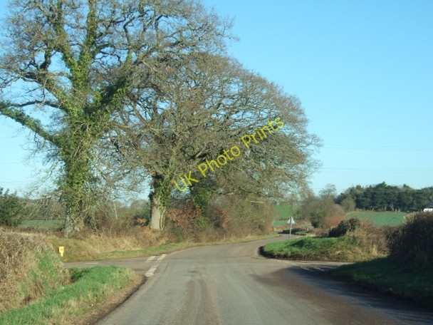 Photo 6"x4" Burrow Cross Burrow\/SX9997 c2011