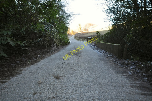 Photo 6"x4" A bridge over Colam Stream in Bittadon Ball Wood Little Silver\/SS5440 c2011 P1