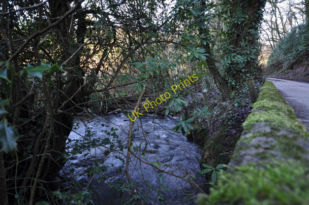Photo 6"x4" The view downstream from a bridge over Colam Stream in Bittadon Ball Wood Little Silver\/SS5440 c2011