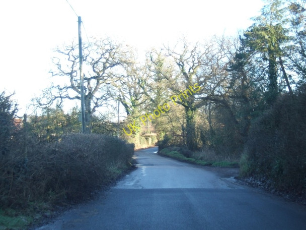 Photo 6"x4" Road to Talaton from Westcott Newtown\/SY0699 c2011