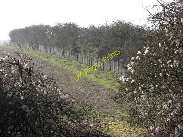Photo 6"x4" Abandoned railway seen from Fleam Dyke Great Wilbraham c2011