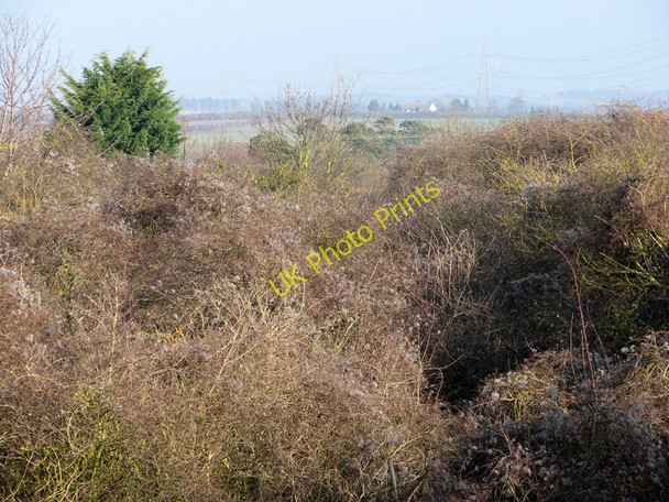 Photo 6"x4" Long-abandoned railway Great Wilbraham c2011