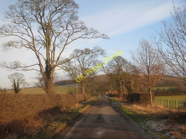 Photo 6"x4" Along the lane towards Mill Farm Birdsall c2011