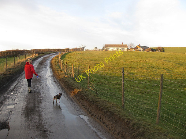 Photo 6"x4" A walk up Orchard Hill Marton\/SE7383 c2011