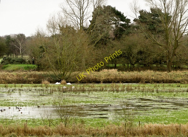 Photo 6"x4" Flooded marshes of the Waveney Valley Ditchingham c2011