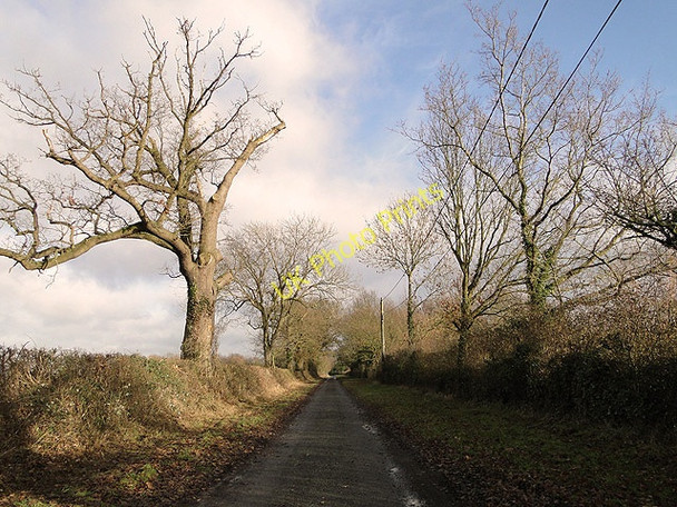 Photo 6"x4" Pound Lane, Ditchingham, Norfolk Ditchingham c2011